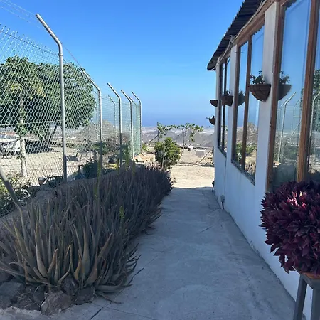 El Pasil 2 아로나