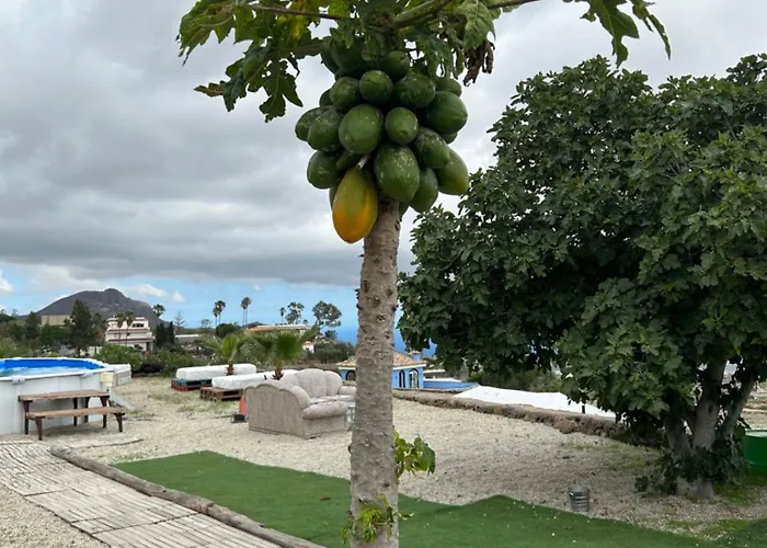 El Pasil 2 Apartamento Arona (Tenerife)