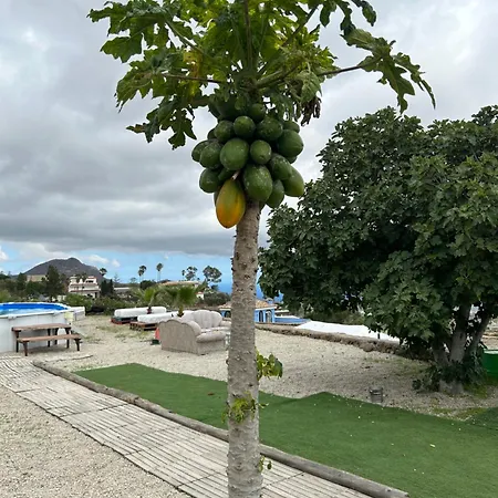 El Pasil 2 Lägenhet Arona (Tenerife)