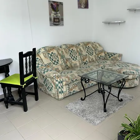 El Pasil 2 * Arona (Tenerife)